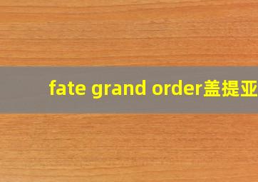 fate grand order盖提亚